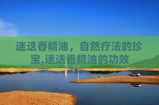 迷迭香精油，自然疗法的珍宝,迷迭香精油的功效
