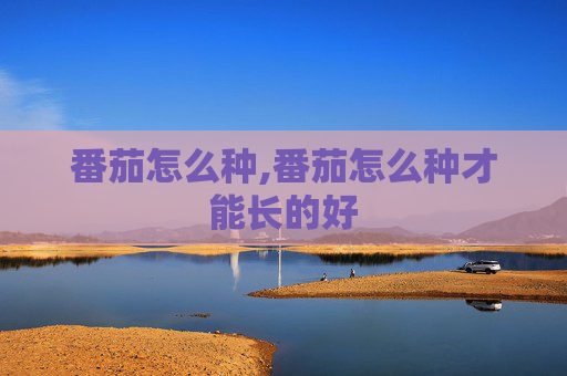 番茄怎么种,番茄怎么种才能长的好