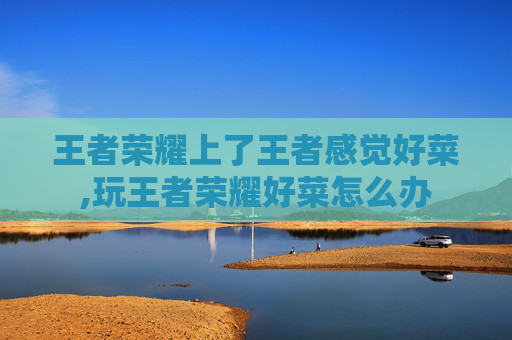王者荣耀上了王者感觉好菜,玩王者荣耀好菜怎么办