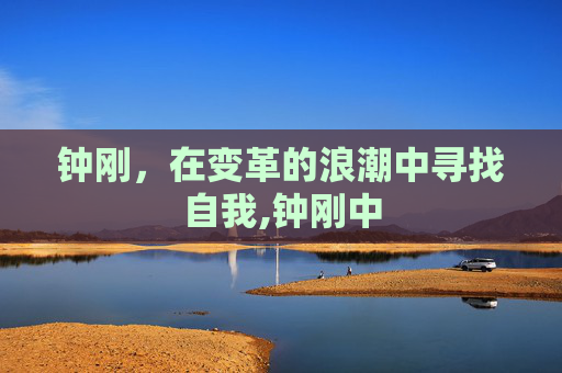 钟刚，在变革的浪潮中寻找自我,钟刚中