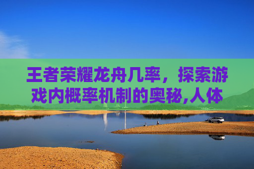 王者荣耀龙舟几率，探索游戏内概率机制的奥秘,人体结构几何体速写