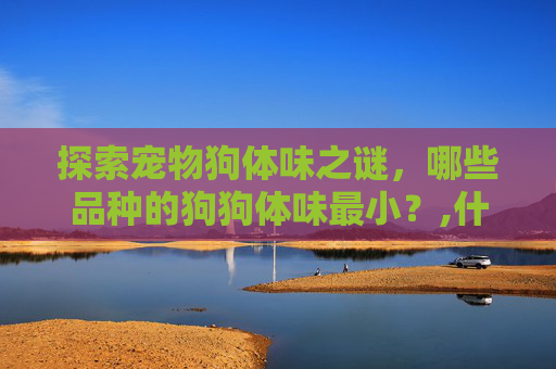 探索宠物狗体味之谜，哪些品种的狗狗体味最小？,什么狗体味最小不掉毛不乱叫