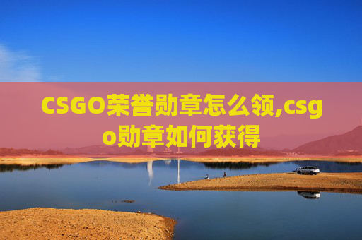 CSGO荣誉勋章怎么领,csgo勋章如何获得