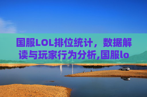国服LOL排位统计，数据解读与玩家行为分析,国服lol排位统计在哪看