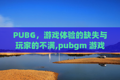 PUBG，游戏体验的缺失与玩家的不满,pubgm 游戏体验