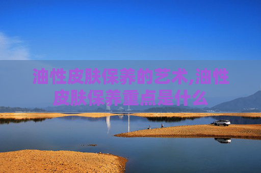 油性皮肤保养的艺术,油性皮肤保养重点是什么