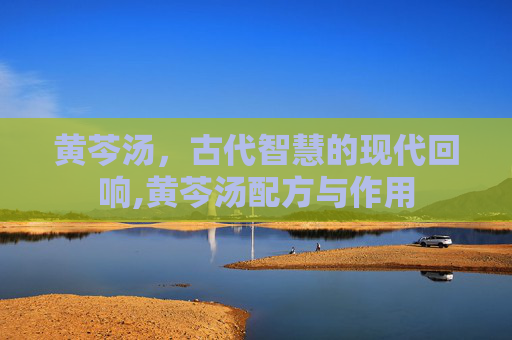 黄芩汤，古代智慧的现代回响,黄芩汤配方与作用