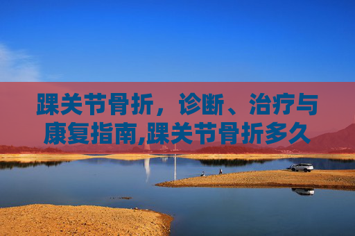 踝关节骨折，诊断、治疗与康复指南,踝关节骨折多久能康复