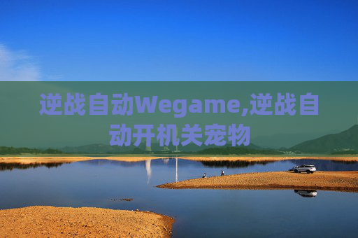 逆战自动Wegame,逆战自动开机关宠物