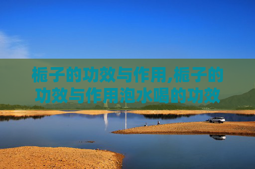 栀子的功效与作用,栀子的功效与作用泡水喝的功效