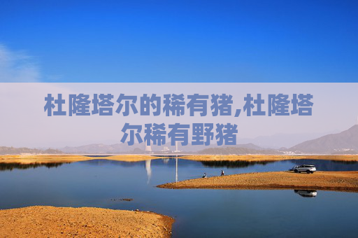 杜隆塔尔的稀有猪,杜隆塔尔稀有野猪