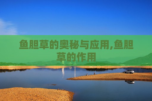鱼胆草的奥秘与应用,鱼胆草的作用