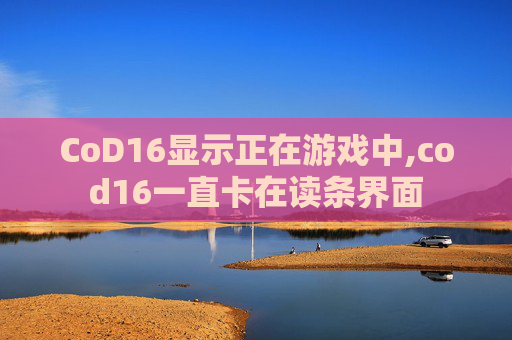 CoD16显示正在游戏中,cod16一直卡在读条界面