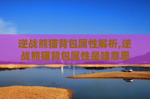 逆战熊猫背包属性解析,逆战熊猫背包属性是啥意思