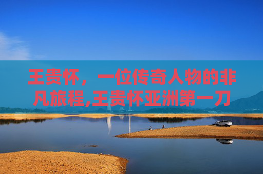王贵怀，一位传奇人物的非凡旅程,王贵怀亚洲第一刀