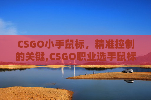 CSGO小手鼠标，精准控制的关键,CSGO职业选手鼠标