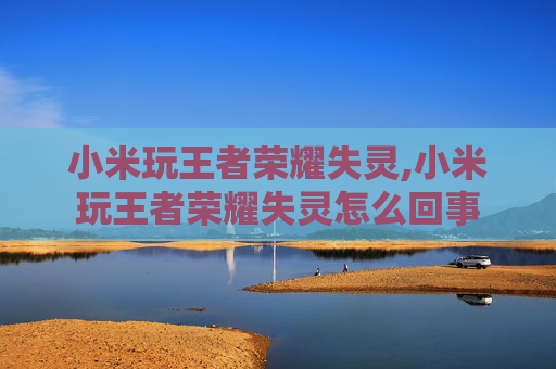 小米玩王者荣耀失灵,小米玩王者荣耀失灵怎么回事