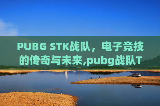 PUBG STK战队，电子竞技的传奇与未来,pubg战队TWIS成员