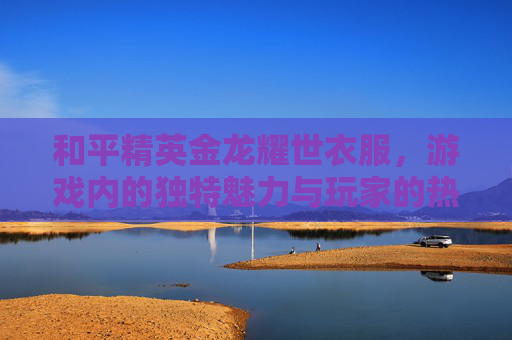 和平精英金龙耀世衣服，游戏内的独特魅力与玩家的热爱,和平精英龙上衣