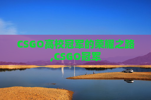 CSGO高校冠军的荣耀之路,CSGO冠军