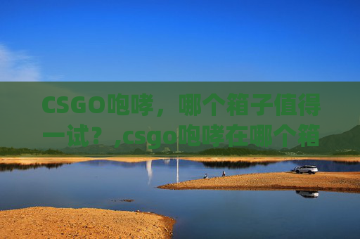 CSGO咆哮，哪个箱子值得一试？,csgo咆哮在哪个箱子里