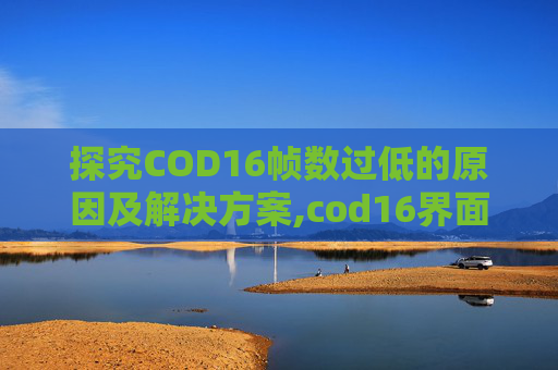 探究COD16帧数过低的原因及解决方案,cod16界面帧数低