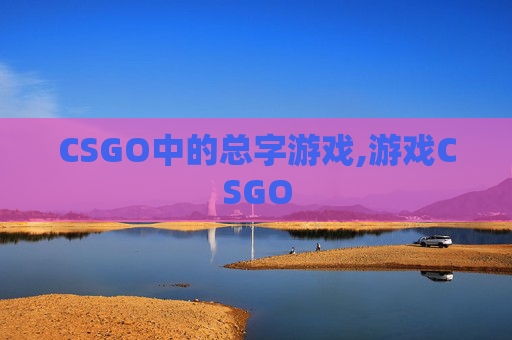 CSGO中的总字游戏,游戏CSGO