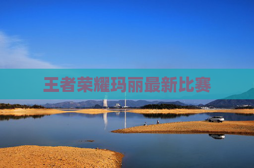 王者荣耀玛丽最新比赛