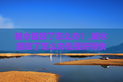 被水蛭咬了怎么办？,被水蛭咬了怎么办处理好得快
