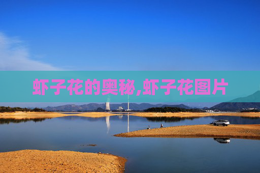 虾子花的奥秘,虾子花图片