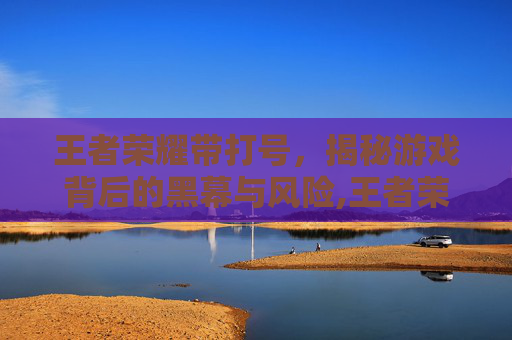 王者荣耀带打号，揭秘游戏背后的黑幕与风险,王者荣耀带打号的名字
