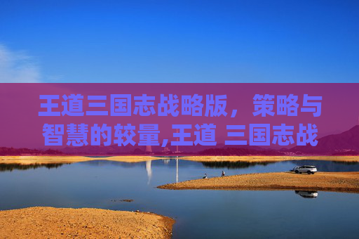 王道三国志战略版，策略与智慧的较量,王道 三国志战略版