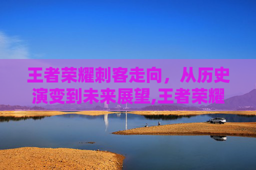 王者荣耀刺客走向，从历史演变到未来展望,王者荣耀刺客走向怎么设置