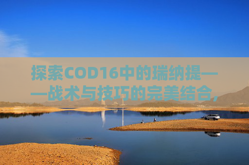 探索COD16中的瑞纳提——战术与技巧的完美结合,14油耗投多少钱一公里