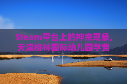 Steam平台上的神宗现象,天津格林国际幼儿园学费