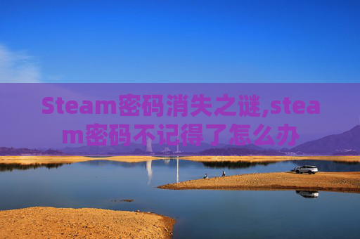 Steam密码消失之谜,steam密码不记得了怎么办
