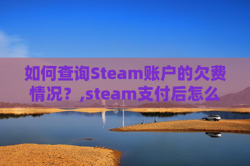 如何查询Steam账户的欠费情况？,steam支付后怎么查