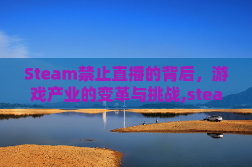Steam禁止直播的背后，游戏产业的变革与挑战,steam直播权限开启