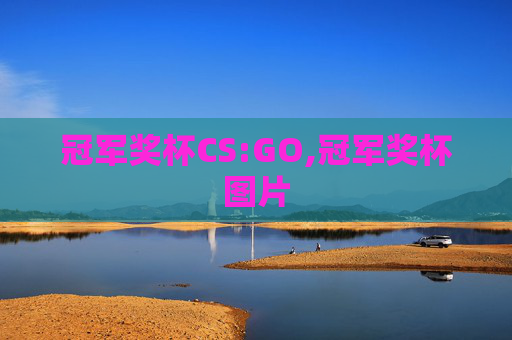 冠军奖杯CS:GO,冠军奖杯图片