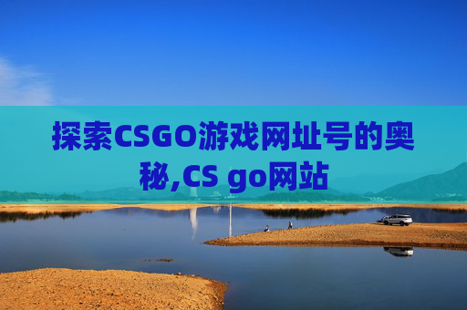 探索CSGO游戏网址号的奥秘,CS go网站
