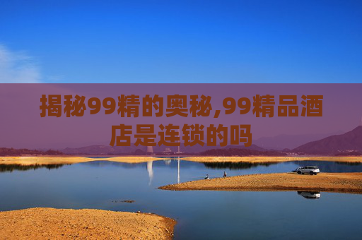 揭秘99精的奥秘,99精品酒店是连锁的吗