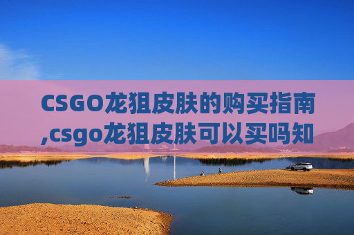 CSGO龙狙皮肤的购买指南,csgo龙狙皮肤可以买吗知乎