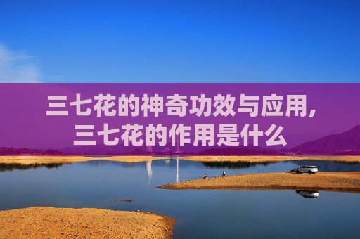 三七花的神奇功效与应用,三七花的作用是什么