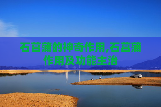 石菖蒲的神奇作用,石菖蒲作用及功能主治