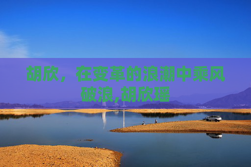 胡欣，在变革的浪潮中乘风破浪,胡欣瑶