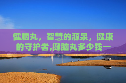 健脑丸，智慧的源泉，健康的守护者,健脑丸多少钱一盒