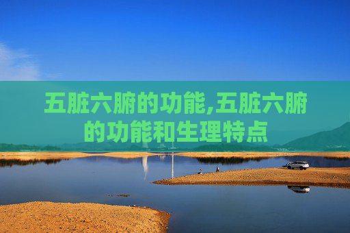 五脏六腑的功能,五脏六腑的功能和生理特点