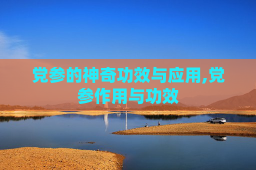 党参的神奇功效与应用,党参作用与功效