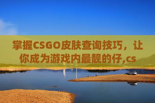 掌握CSGO皮肤查询技巧，让你成为游戏内最靓的仔,csgo皮肤价格查询