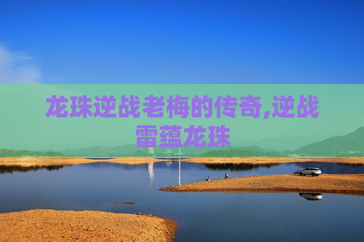 龙珠逆战老梅的传奇,逆战雷蕴龙珠
